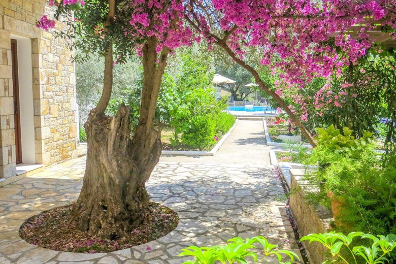 Path leading to the pool